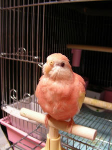 DSCN1312.jpg