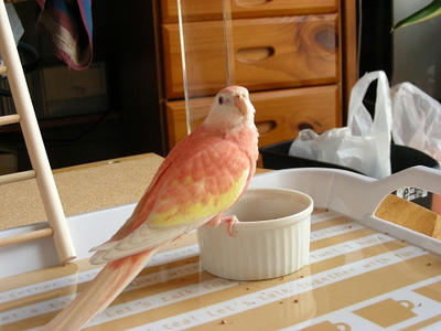 DSCN1375.jpg
