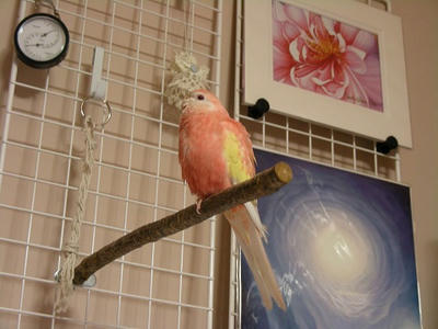 DSCN1368.jpg