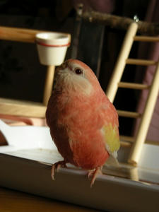 DSCN1392.jpg