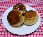 P1000250.JPG