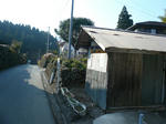 P1000122_R.jpg