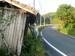 PICT0095_R.jpg