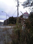 20051219-1.jpg