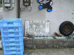 PICT0296_R.jpg