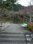P1000188-1_R.jpg