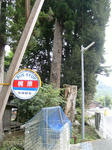 30767b6a.jpg