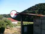 PICT0609_R.jpg
