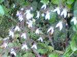 PICT0154_R.jpg