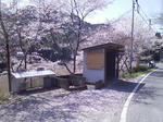 DCF_0133.JPG