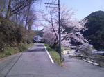 DCF_0137.JPG