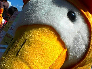 20091011_0001.jpg
