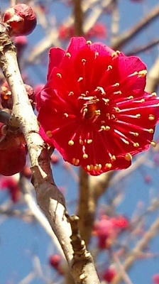 2010_0127_105742-F1000019.JPG