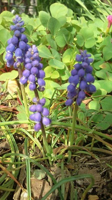 2010_0317_15.JPG