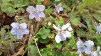 2010_0318_9.JPG