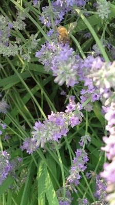 2010_0701_2.JPG