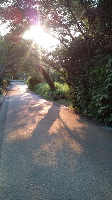 2010_0722_17.JPG