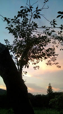 2010_0722_19.JPG