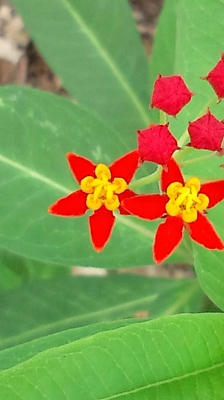 2010_07_083.JPG