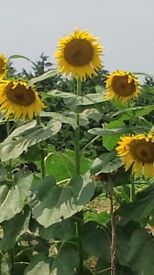 2010_0816_113604-F1000014.JPG