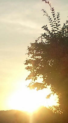 2010_0906_m2.JPG