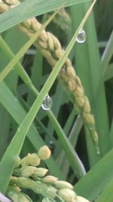 2010_0906_m3.JPG