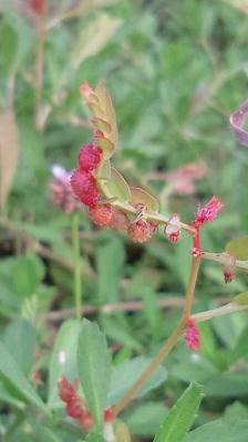 2010_0920_165320-F1000021.JPG