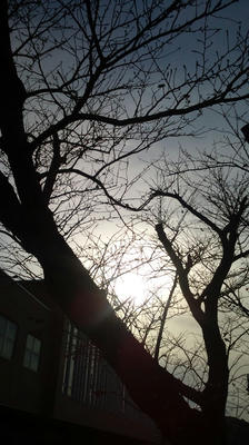 2010_1211_142930-F1000168.JPG