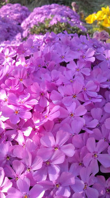 2011_0406_160002-F1000475.JPG