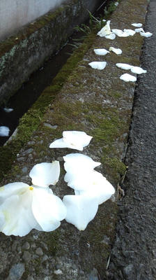 2011_0413_140750-F1000511.JPG