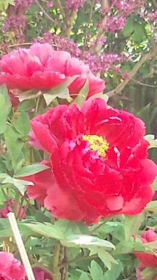 2011_0425_075431-F1000547.JPG