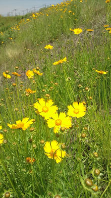 2011_0515_111304-F1000593.JPG