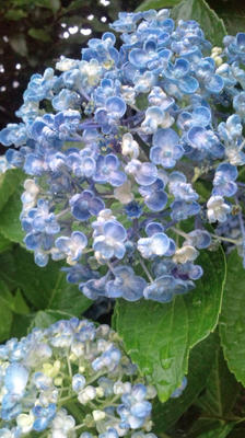 2011_0710_075808-F1000693.JPG