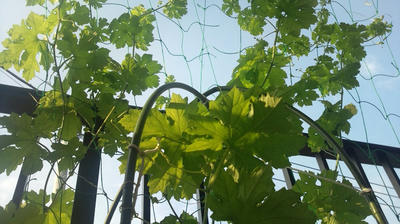2011_0724_072510-F1000783.JPG