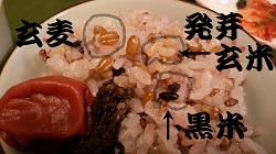 玄麦　発芽玄米　黒米