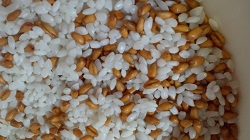 玄麦と白米