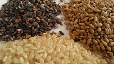 玄麦　黒米　発芽玄米