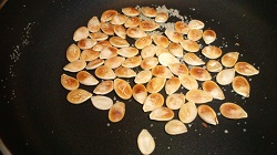 坊ちゃんかぼちゃの種