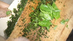 バジル　ジェノバソース