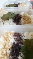 冷凍弁当を作るよ