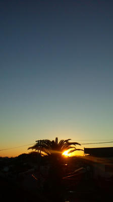 冬の夕日