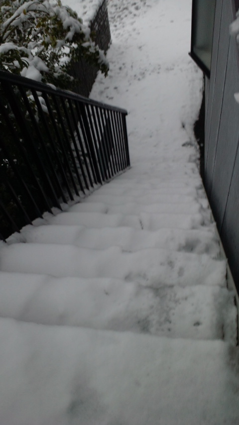 雪の日の階段