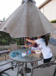 795156b8.JPG