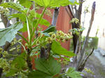090504_170918.jpg