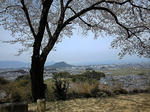 DVC00020.jpg