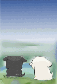 07281.gif