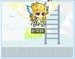 maple_002.png