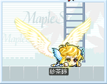 maple_003.png