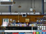 maple_014.jpg