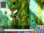 maple_025.jpg